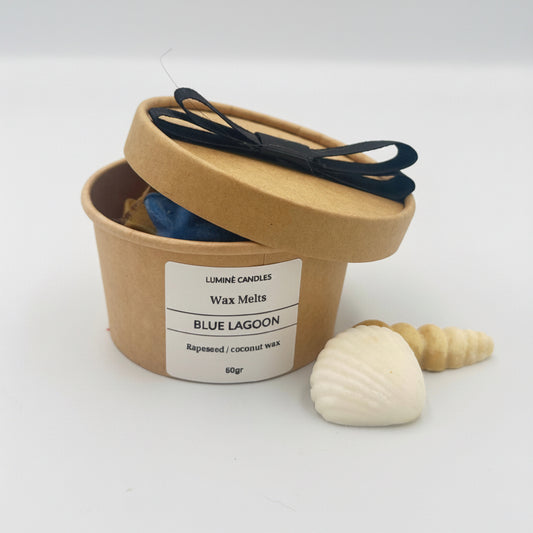 Wax Melts 60g – Blue Lagoon
